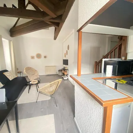 Le Petillat Apartment *